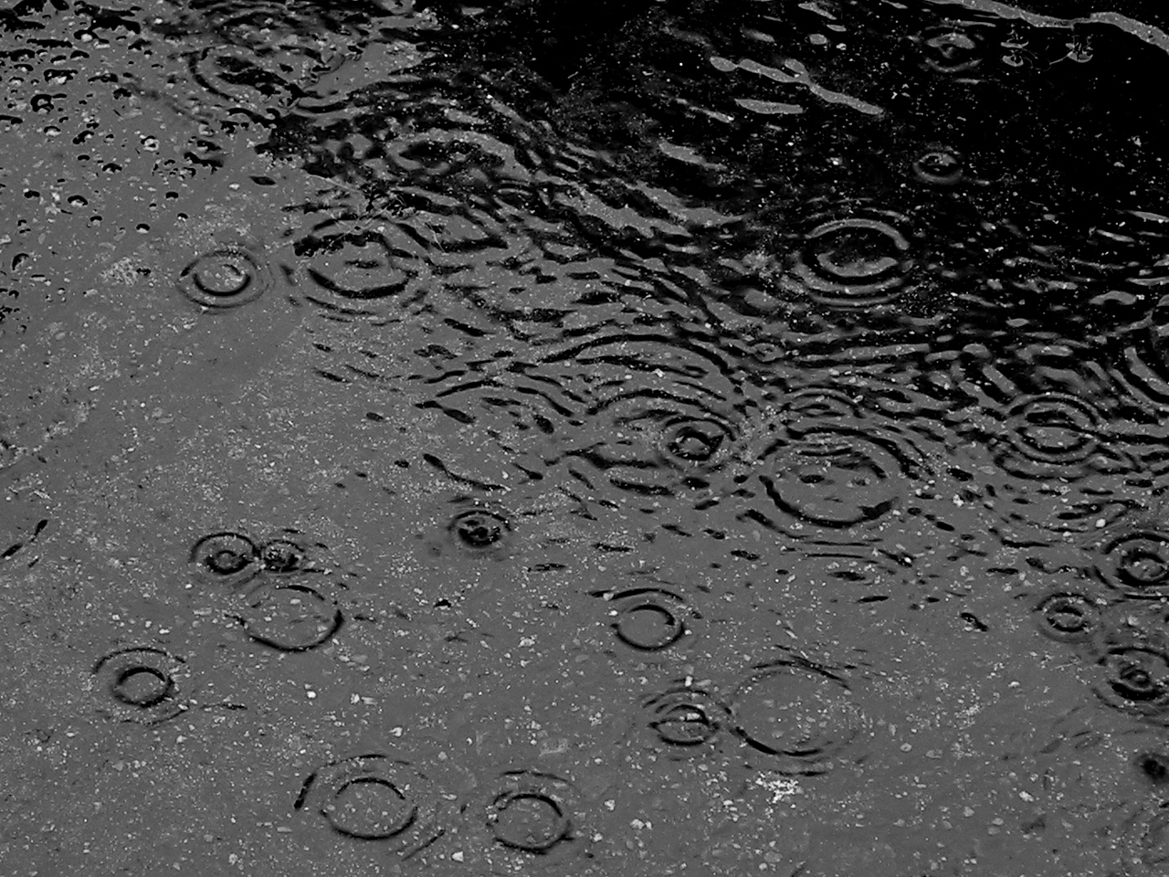 Rain Rain on the ground