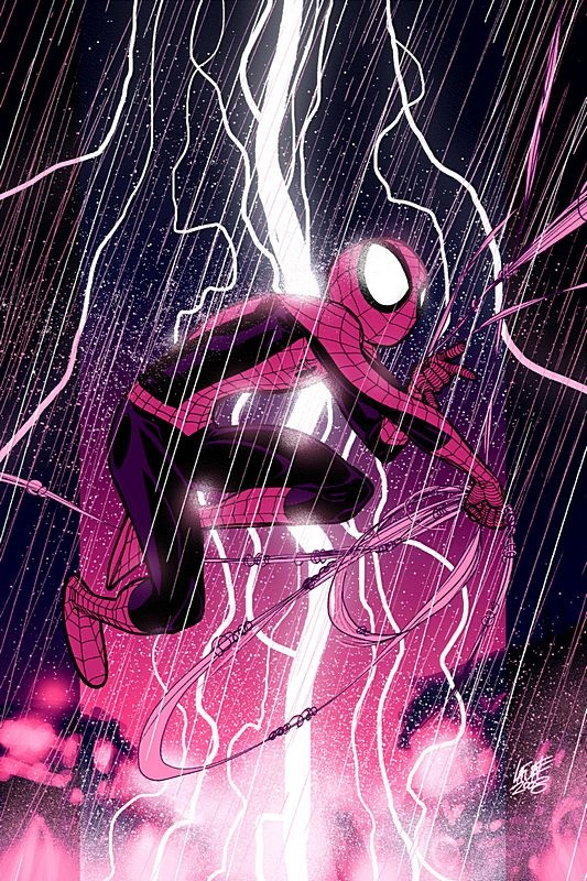 Spider-Man in Rain Spider-Man in Rain